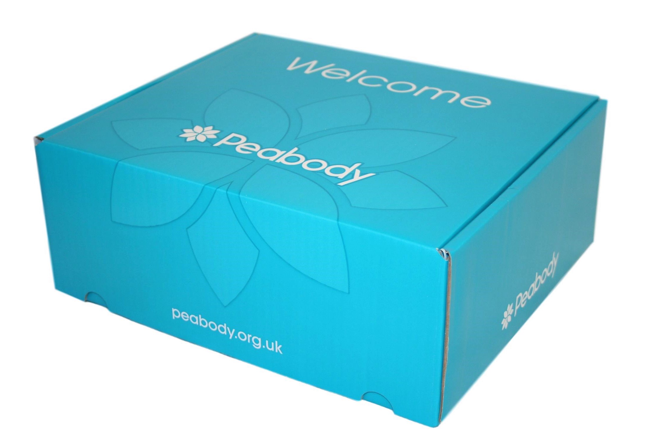 Peabody Box Home Move Box